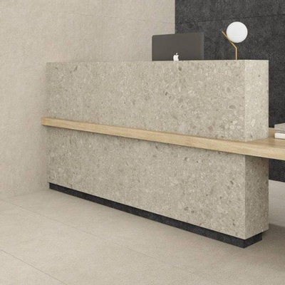 Ceralto Ravina Slate Carrelage de sol - 60x60cm - 9.0mm - rectifié - Earth