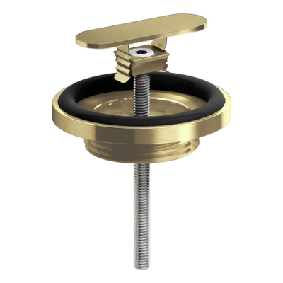 Clou (New)Flush/First bonde+raccord de siphon or brossé PVD