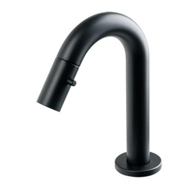 Plieger Lupo 2.0 robinet de WC noir mat