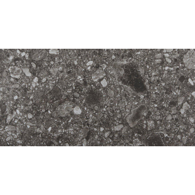 Vtwonen Carrelage de sol et de mur Composite 30x60cm 9mm rectifié R10 porcellanato Noir Anthracite