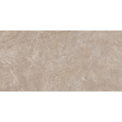 ÉCHANTILLON Ceralto Serrano Studio 600x1200 Pierre riche Boue Sable St 8.2Mm Mat Ret.R10 Boue