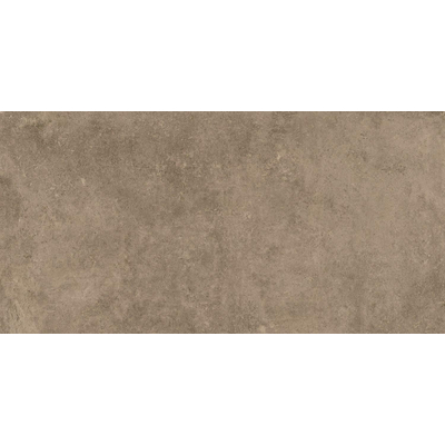 ÉCHANTILLON Terravito Sigillo carreau mural et de sol - 29.6x59.5cm - 8mm - rectifié - Effet béton - Taupe