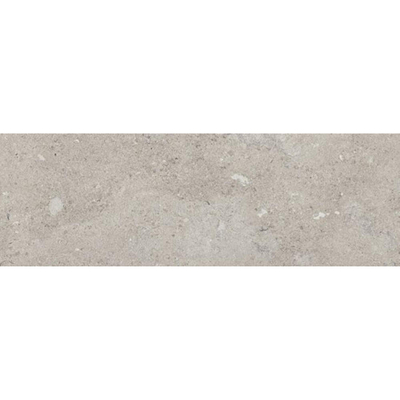 SAMPLE vtwonen Carrelage Portland Carrelage mural 300X900 Gris 8,7mm Mat