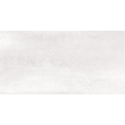 SAMPLE Ceralto Ferron Metal 305X605 Sync Ice