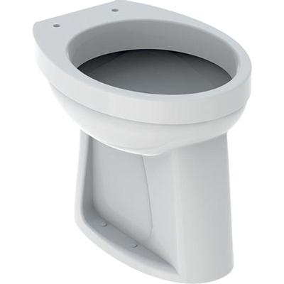 Geberit 300 Basic cuvette-95 à chasse plate 35.5x47cm sortie horizontale blanc