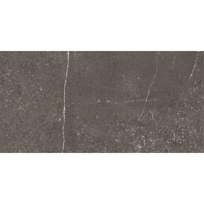 Ceralto Olivaro Sete Carreau de sol - 30X60 - 10mm - mat - gris foncé