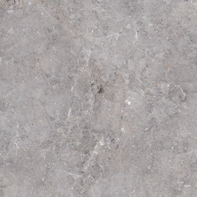 Edimax astor Golden age carreau de sol et de mur 60x60cm rectifié aspect marbre gris mat