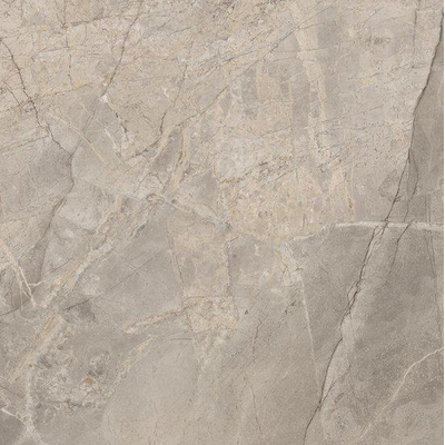 Ceralto Roccato Mineral Carreau de sol - 120X120 - 6.5mm - mat - greige