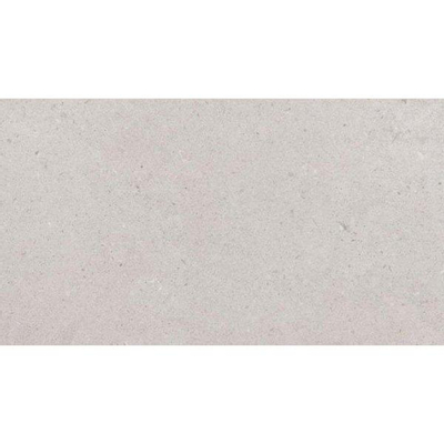 ÉCHANTILLON Pavigres Antica Carreau mural 25x45cm 7.5mm éclat blanc Gris