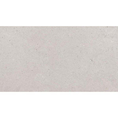 SAMPLE Pavigres Antica Echantillon carrelage mural - 25x45cm 7.5mm - éclat blanc - Grey