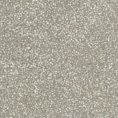 Ceralto Aurelio Marble Carrelage de sol - 60x60cm - 9.5mm - rectifié - Taupe