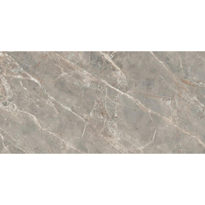 Douglas Jones Magnum vloer- en wandtegel 60X120cm gerectificeerd Gris Glans