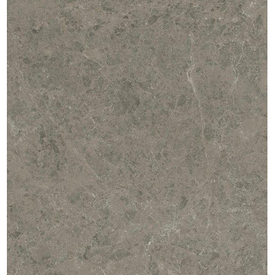 Atlas Concorde Marvel Meraviglia Vloertegel - 119.7x119.7cm - 9.0mm - gerectificeerd - Grigio elegante