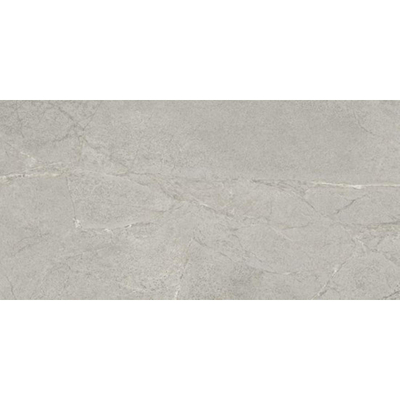 Ceralto Roccato Mineral Carrelage de sol - 60X120 - 6.5mm - mat - argent