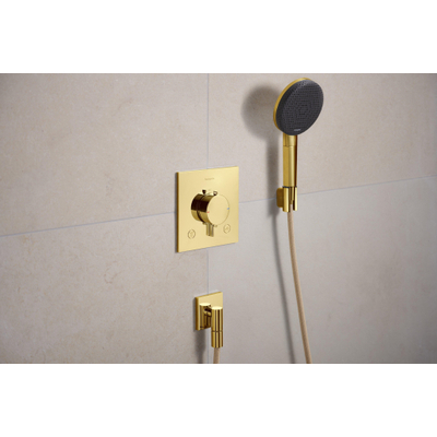 Hansgrohe Raindance alive handdouche125 3 jet EcoSmart+ Polished Gold Optic (goud)