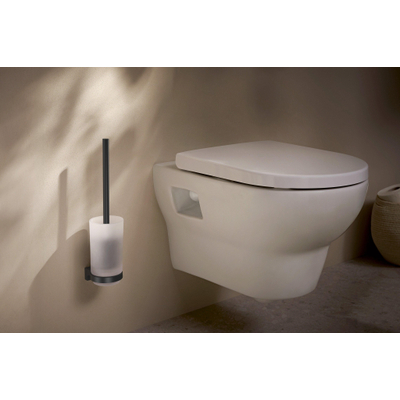 Hansgrohe AddStoris S closetborstelgarnituur wandmontage mat zwart