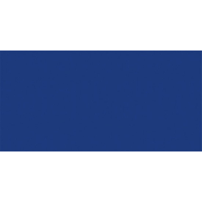 Rako Color One Wandtegel - 19.8x39.8cm - 7.0mm - Dark blue