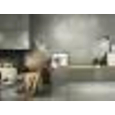 SAMPLE Baldocer Cerámica Grafton Carrelage sol et mural - rectifié - Gris mat