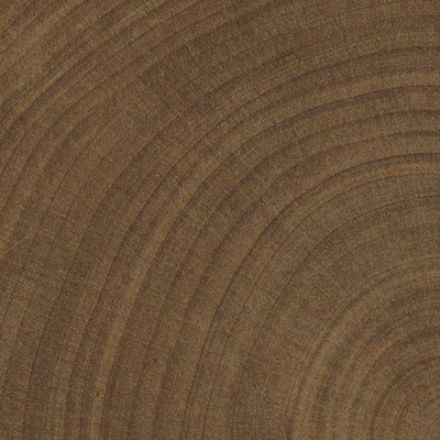 Vtwonen Carrelage Woodcirkle Carreau de sol - 10x10cm - 9.5mm - Wengé