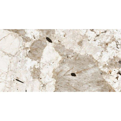 ÉCHANTILLON Ceralto Alabro Vein carrelage sol et mur 60X120cm rectifié Tundra Brillant