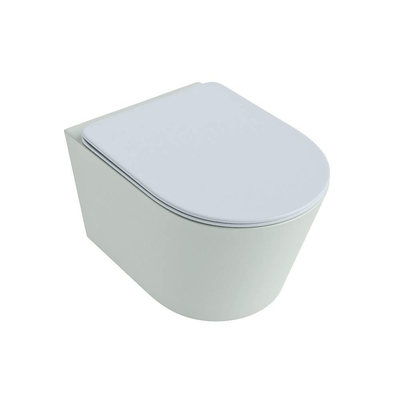 Mondiaz LAVIE hangtoilet – spoelrandloos – 36 x 53 cm – met softclose zitting – Greey (lichtgroen/grijs), zitting Clay (lichtblauw/grijs)