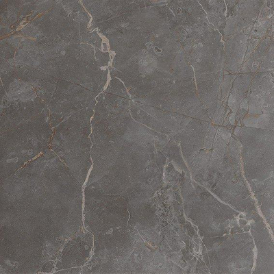 FAP Ceramiche Roma Stone Pietra Grey zijde glans 80x80 rett