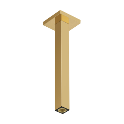Hansgrohe Raindance alive Plafondaansluiting E - 300mm - gepolijst goud (goud)
