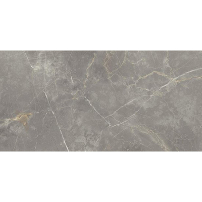 Vtwonen Classic Carrelage de sol et mural 30x60cm 10mm rectifié porcellanato Gris