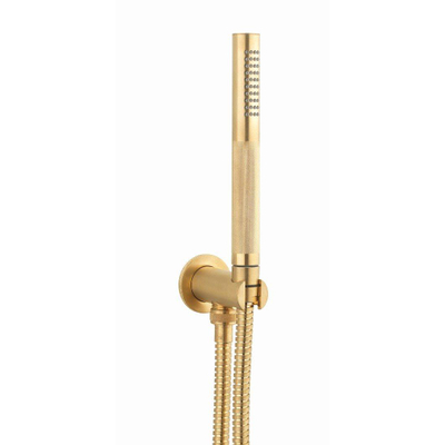 Crosswater Union Handdoucheset - muuruitlaat - gecoat messing geborsteld (goud)