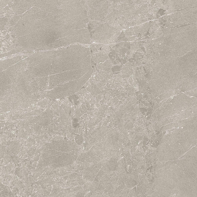 Modano Caliste Carreau de sol et de mur - 60x60cm - 9mm - rectifié - Taupe mat