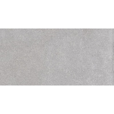 Viva Dotcom Vloertegel 30x60cm 10mm vorstbestendig gerectificeerd Grey Mat