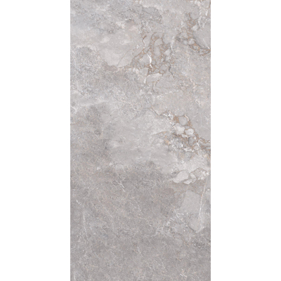 ÉCHANTILLON Edimax Astor Golden Age Carrelage de sol et de mur rectifié Aspect marbre Mat Gris