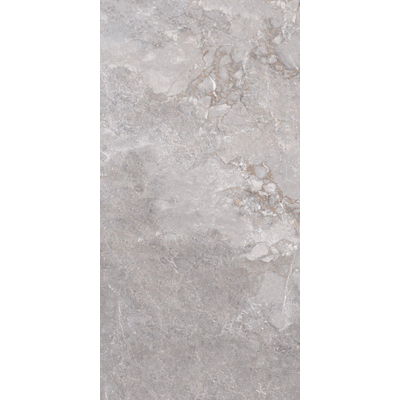 Edimax astor golden age carrelage sol et mur 60x120cm rectifié aspect marbre gris mat