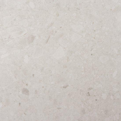 SAMPLE Ceralto Ravina Slate Vloer- en wandtegel - 60x60cm - 9mm - gerectificeerd - Porcellanato gekleurd - Snow (Wit)