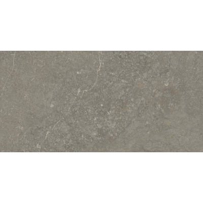 ÉCHANTILLON Terravito Rovella carreau mural et de sol - 30x60cm - rectifié - Aspect pierre naturelle - Taupe mat (brun)