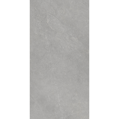 ÉCHANTILLON Terravito Rovella carreau mural et de sol - 60x120cm - rectifié - aspect pierre naturelle - Pearl mat (gris)