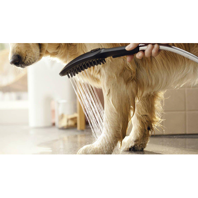 Hansgrohe Dogshower Handdouche - voor de hond - 150 - 3jet - met massagenoppen - mat zwart