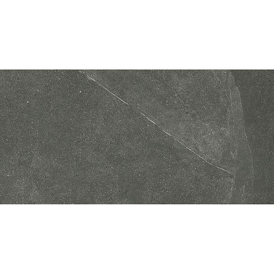 Italgranit Shale Vloertegel 30x60cm 9.5mm vorstbestendig gerectificeerd Ash Mat