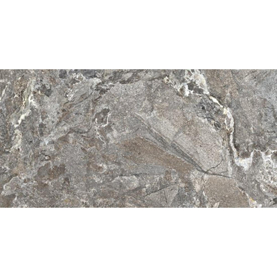 Ceralto Prato Facet Vloertegel - 60x120cm - 6.0mm - gerectificeerd - Silver porphy
