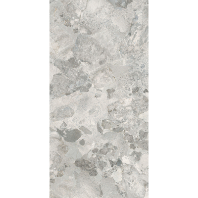 ÉCHANTILLON Terravito Hopuro carreau mural et de sol - 120x60cm - 10.5mm - rectifié - Gris