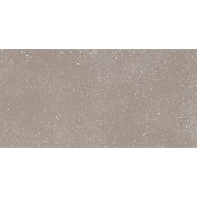 Ceralto Ivarno Core Vloertegel - 30X60 - 10mm - mat - zilver