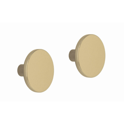 Poignée moderne x2 Laiton brossé