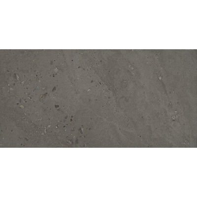 Ceralto Elaris Oak Carreau de sol - 60x120cm - 9.0mm - rectifié - Sabbia anthracite