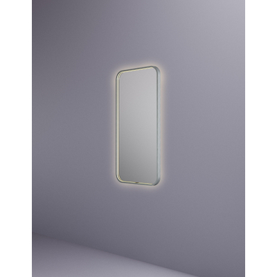 Hotbath &MORE Spiegel - 50x100cm - direct en indirect LED - spiegelverwarming - color changing - dimbaar - met afstandsbediening - geborsteld RVS 316