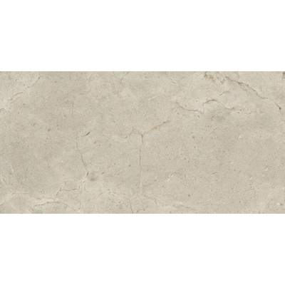 Ceralto Quinto Core Vloertgel - 30X60 - 9mm - mat - visione