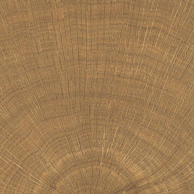 Vtwonen Carrelage Woodcirkle Carrelage de sol - 10x10cm - 9.5mm - Noyer