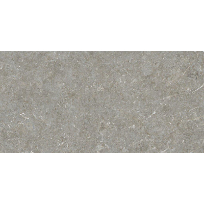 ÉCHANTILLON Terravito Elvano Carrelage mural en céramique - 30x60cm - rectifié - Greige