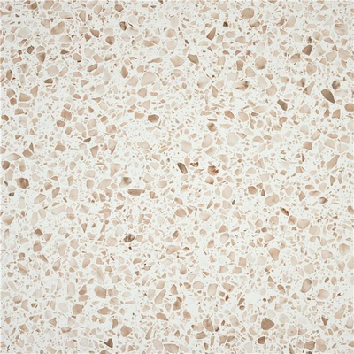 Terravito Belmiro wand- en vloertegel - 59.5x59.5cm - 9.5mm - Vierkant - gerectificeerd - Terrazzo - mat beige - Confetti warm