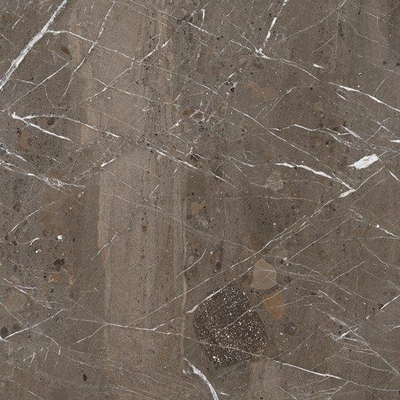 Ceralto Roccato Mineral Vloertegel - 120X120 - 6.5mm - mat - taupe