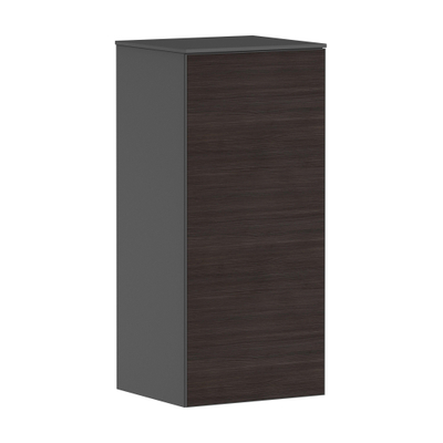 Hansgrohe Xevolos E Armoire mi-haute - 89x40x36cm - 1 porte - façade dark oak - push to open - charnière à gauche - slate matt grey